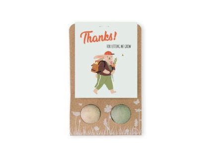 blossombs teacher thank you rabbit
