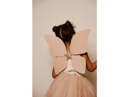 mrs ertha zamatove kridla pink butterfly (2)