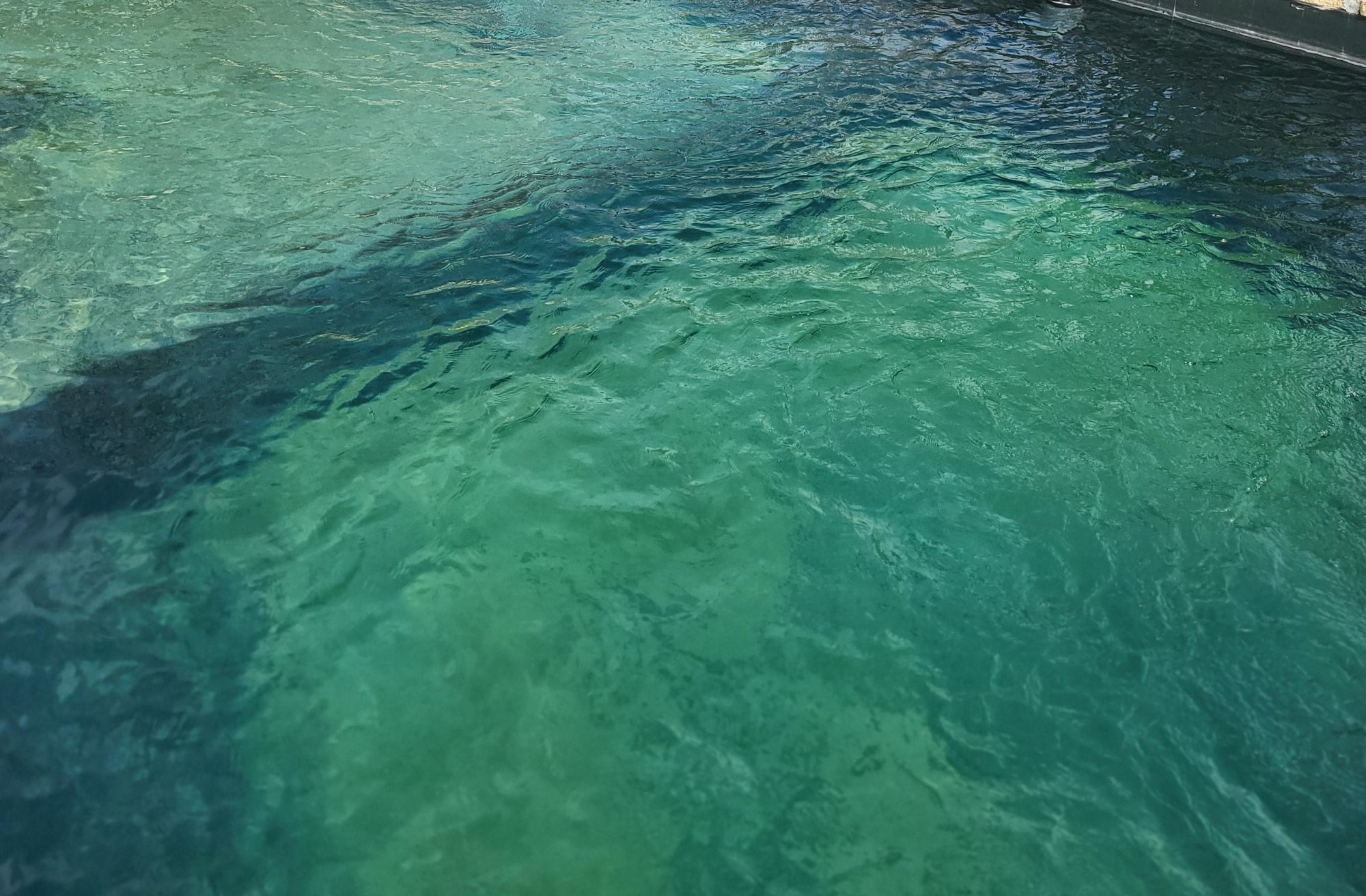 Bubnová filtrace vs. klasická filtrace