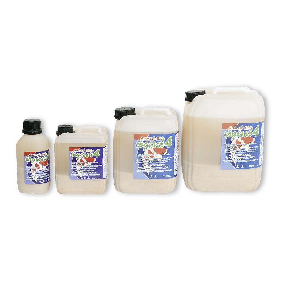 Používání lactobacilů (probiotik) u koi kaprů