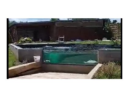 Snímek obrazovky 2024 10 01 121125