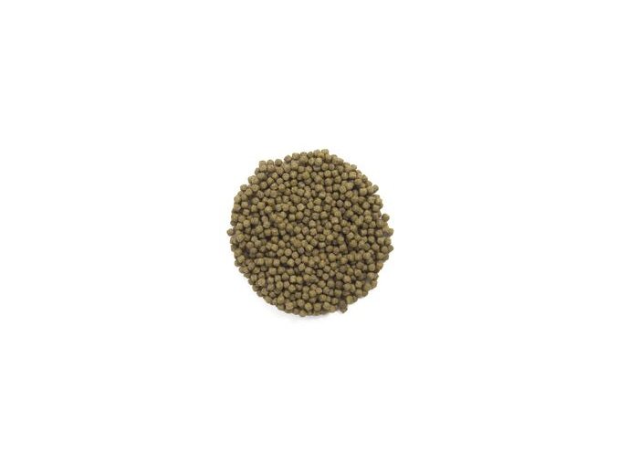 WHEATGERM493943 bf77438d16ceb3589383f73fca5e5b1f