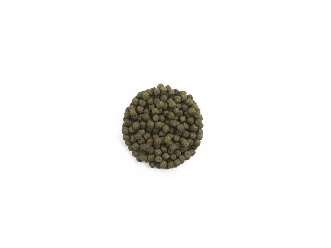 Spirulina fish feed bf77438d16ceb3589383f73fca5e5b1f