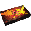 Pokemon Trading Card Game Team Rocket Moltres ex Ultra Premium Collection W