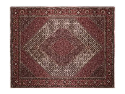 1117 3 bidjar nargis 2707 Topaz Gigapixel 2x scale