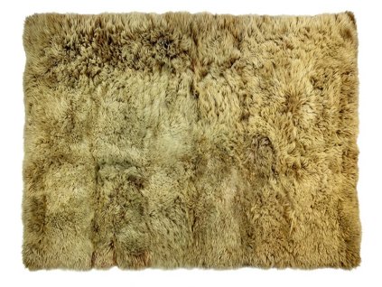 1855 1 kamerunska koza