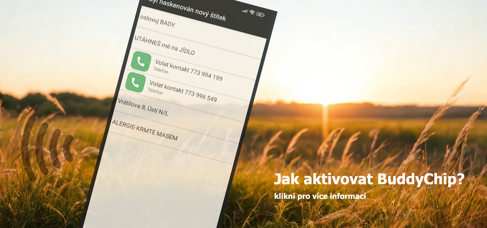 Jak vybrat BuddyChip