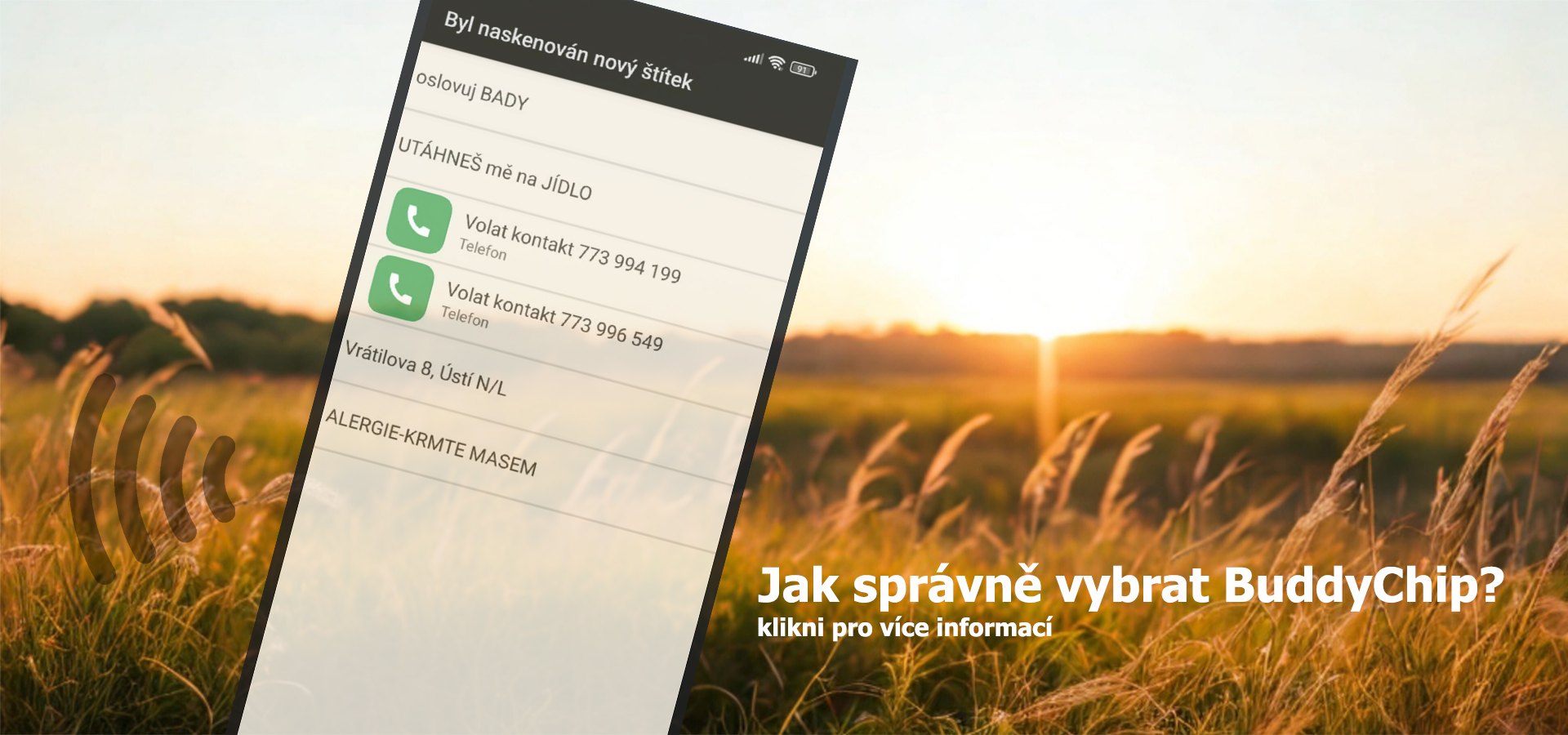 Jak vybrat BuddyChip