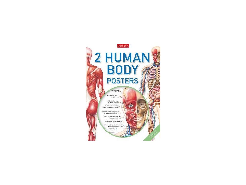 Human Body Poster Pack Biology Diagrams