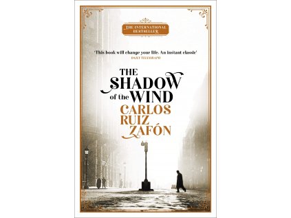 the shadow of the wind 1586953583