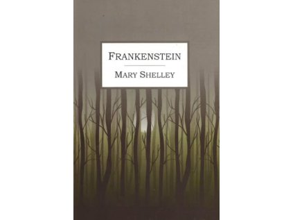 Frankenstein 1657097539 324x489