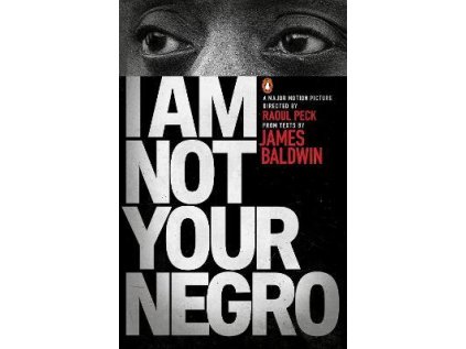 I Am Not Your Negro