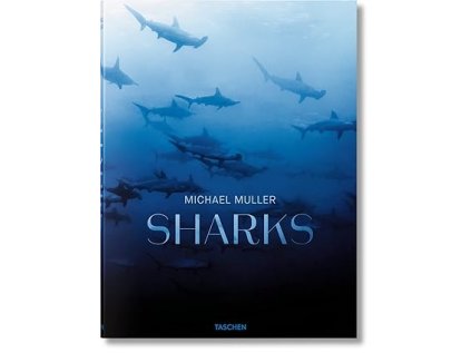 sharks