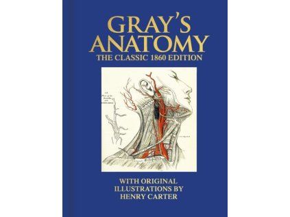 Grays Anatomy