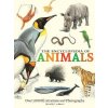 Encyclopedia of Animals : More than 1,000 Illustrations and Photographs