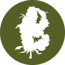 Budman-shop