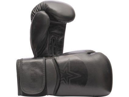 Boxing gloves “Wrist Star” - black-black, 10 oz (Color Black - Black, Gloves weight 10 oz)