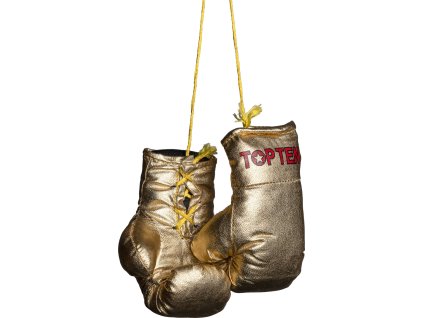 Mini boxing gloves “TOP TEN” (Farba Silver)
