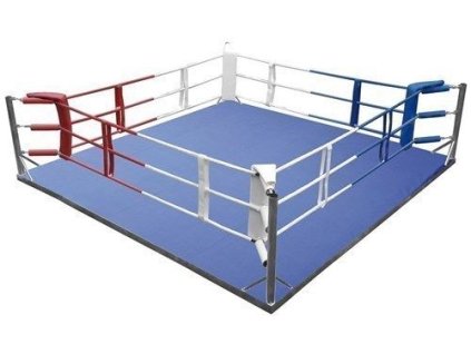 top ten traingin ring with floor 905 0001