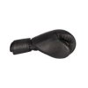 Boxing Gloves “Black`n`Black” - 10 oz, black-black (Color Black - Black, Gloves weight 10 oz, Gloves cut Without Label)