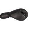 Boxing Gloves “Black`n`Black” - 10 oz, black-black (Color Black - Black, Gloves weight 10 oz, Gloves cut Without Label)