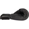 Boxing Gloves “Black`n`Black” - 10 oz, black-black (Color Black - Black, Gloves weight 10 oz, Gloves cut Without Label)