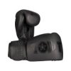 Boxing Gloves “Black`n`Black” - 10 oz, black-black (Color Black - Black, Gloves weight 10 oz, Gloves cut Without Label)