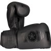 Boxing Gloves “Black`n`Black” - 10 oz, black-black (Color Black - Black, Gloves weight 10 oz, Gloves cut Without Label)