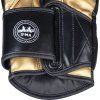 Sparring gloves “Ajarn” (Farba Green, Váha rukavíc 10 oz)