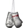Mini boxing gloves “TOP TEN” (Farba Silver)