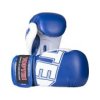 Boxing Gloves “NK 3” - 10 oz, black (Color Black, Gloves weight 10 oz, Gloves cut Standard)