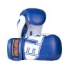 Boxing Gloves “NK 3” - 10 oz, black (Color Black, Gloves weight 10 oz, Gloves cut Standard)