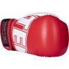 Boxing Gloves “NK 3” - 10 oz, black (Color Black, Gloves weight 10 oz, Gloves cut Standard)