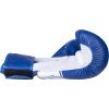 Boxing Gloves “NK 3” - 10 oz, black (Color Black, Gloves weight 10 oz, Gloves cut Standard)