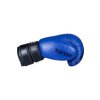 Boxing gloves “Power Ink” - 10 oz, blue (Color Blue, Gloves weight 10 oz, Gloves cut Standard)