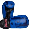 Boxing gloves “Power Ink” - 10 oz, blue (Color Blue, Gloves weight 10 oz, Gloves cut Standard)