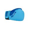 Boxing gloves “Dragon” - 10 oz, red-black (Color Red - Black, Gloves weight 10 oz, Gloves cut Without Label)