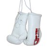 Mini boxing gloves “TOP TEN Kickboxing” (Farba White)
