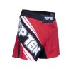 MMA-Shorts “Fight Team” - black, size S (Size S, Color Black)