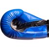 Boxing Gloves “PRISM” - Standard, black-gold, 10 oz (Color Black - Gold, Gloves weight 10 oz, Gloves cut Standard)