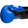 Boxing Gloves “PRISM” - Standard, black-gold, 10 oz (Color Black - Gold, Gloves weight 10 oz, Gloves cut Standard)