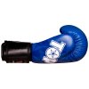 Boxing Gloves “PRISM” - Standard, black-gold, 10 oz (Color Black - Gold, Gloves weight 10 oz, Gloves cut Standard)