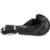 Boxing starter-kit with boxing gloves and mouthguard - 10 oz, black-white (Color Black - White, Gloves weight 10 oz)