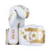 Boxing gloves “Power Ink Golden Star” - white-gold, 10 oz (Color White - Gold, Gloves weight 10 oz, Gloves cut Standard)