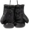 Mini boxing gloves “WAKO” (Farba White, Strih Without Label)