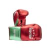 Boxing gloves “Pro MX” - 10 oz, red-green (Color Red, Gloves weight 10 oz, Gloves cut Standard)