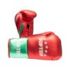 Boxing gloves “Pro MX” - 10 oz, red-green (Color Red, Gloves weight 10 oz, Gloves cut Standard)