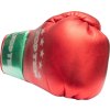 Boxing gloves “Pro MX” (Barva White - Blue)