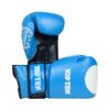 Boxing gloves “WAKO GT” - 10 oz, red (Color Red, Gloves weight 10 oz, Gloves cut Standard)