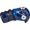 top ten pointfighter legacy25 blue 21660 b side2